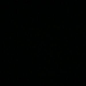 Meet your Posher, Chase